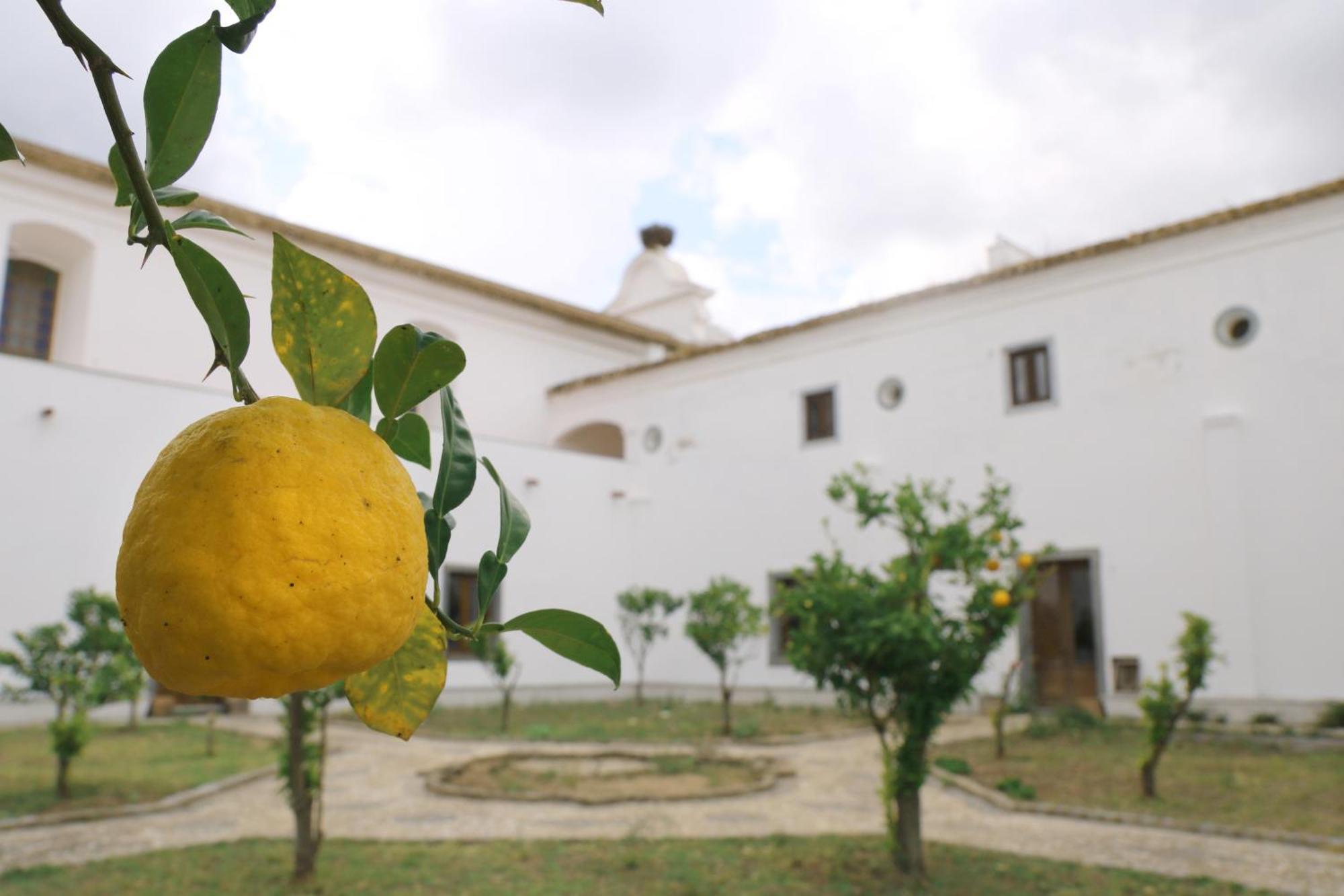 Convento Da Orada - Monsaraz 게스트하우스 외부 사진